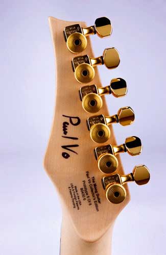 Moog Guitar