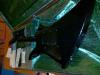 ������������� �����������