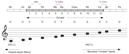 Расположение нот в октавах